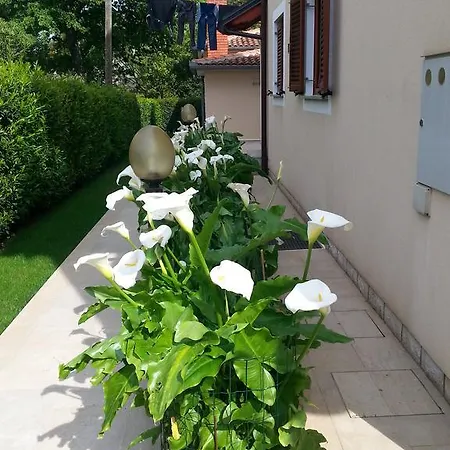 Pensionat Ulika & Poreč