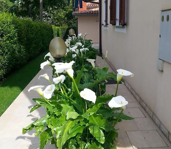 Konukevi Ulika Poreč