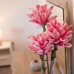 Guest house Ulika