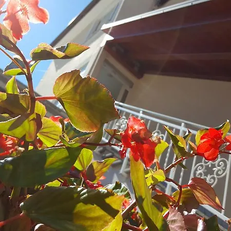 게스트하우스 Ulika &