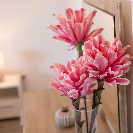 게스트하우스 Ulika &